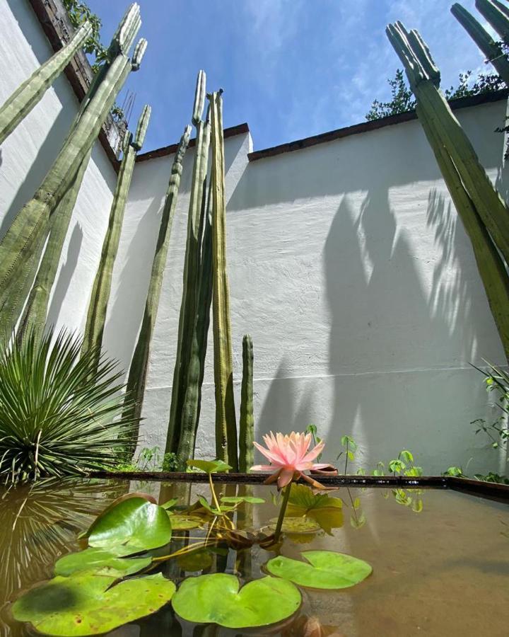 Casa Mayo B&B Oaxaca Extérieur photo