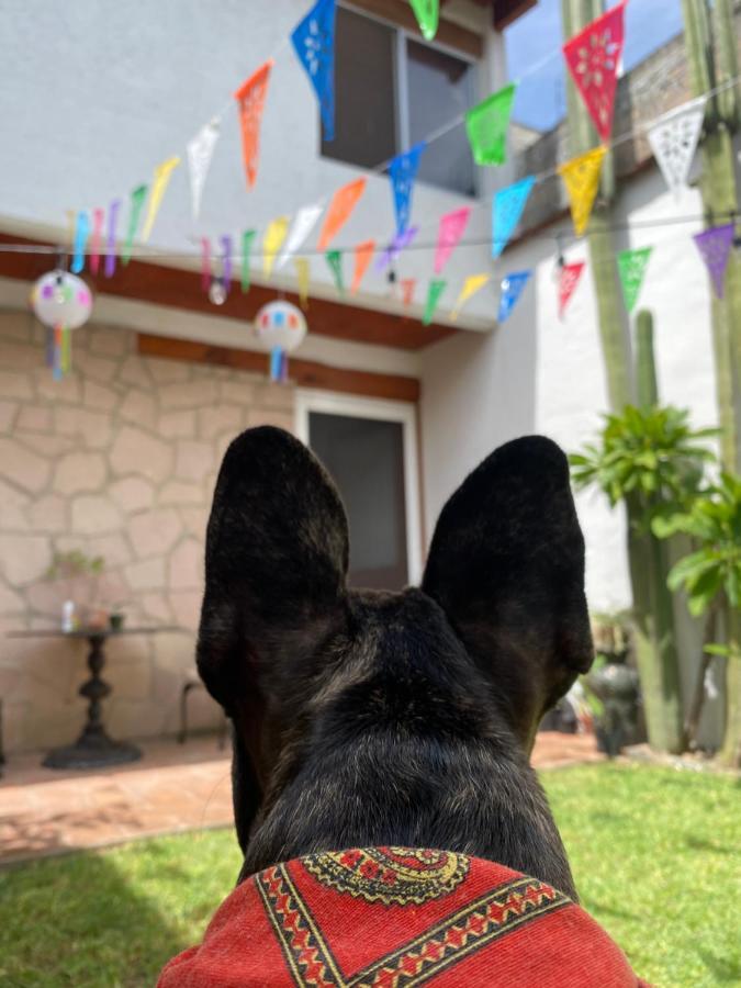Casa Mayo B&B Oaxaca Extérieur photo